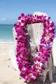 Hawaii Lei Greetings Hawaii Lei Greetings